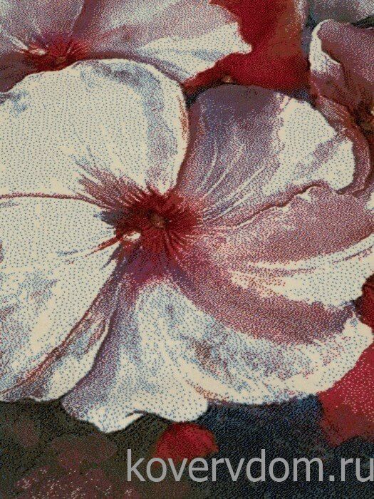 Шерстяной ковер Hunnu Цветы 6A2362 165